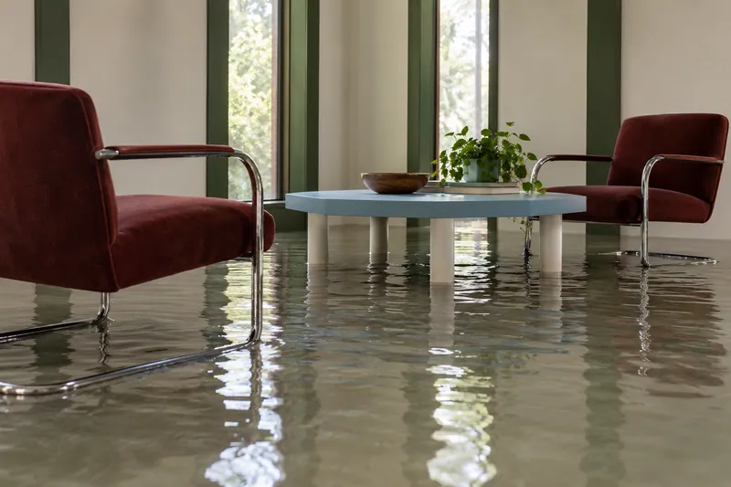 Water Extraction Near Johnson Road Park — pooled water in a furnished room